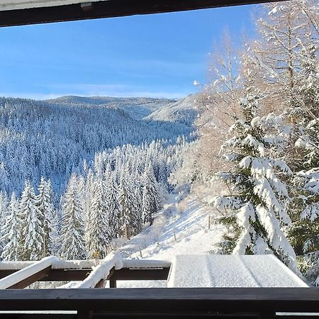 Bergkristall Ruhe Und Aussicht Auf 1100M Sankt Lorenzen ob Murau Buitenkant foto