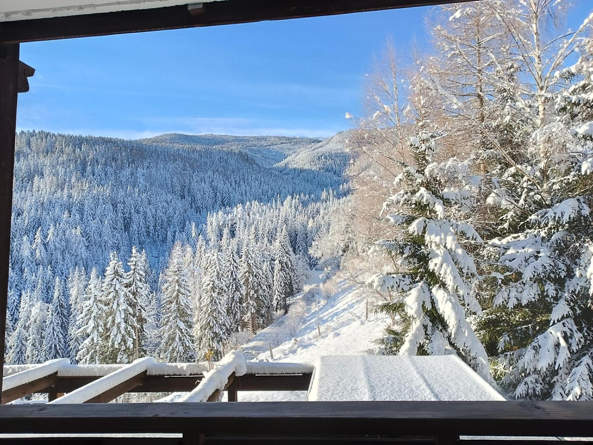 Bergkristall Ruhe Und Aussicht Auf 1100M Sankt Lorenzen ob Murau Buitenkant foto